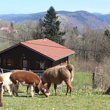 Chalet Les Bouleaux, La Montagne Des Lamas La Bresse Exterior foto